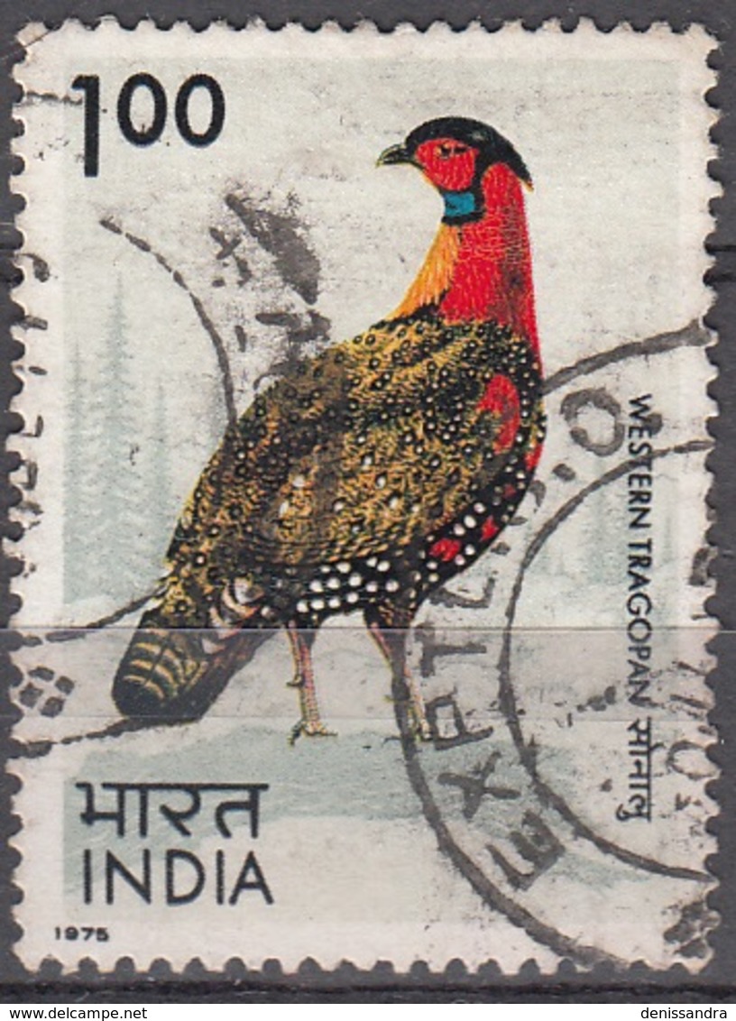 India 1975 Michel 627 O Cote (2006) 3.50 Euro Oiseau Tragopan De Hastings Cachet Rond - Oblitérés