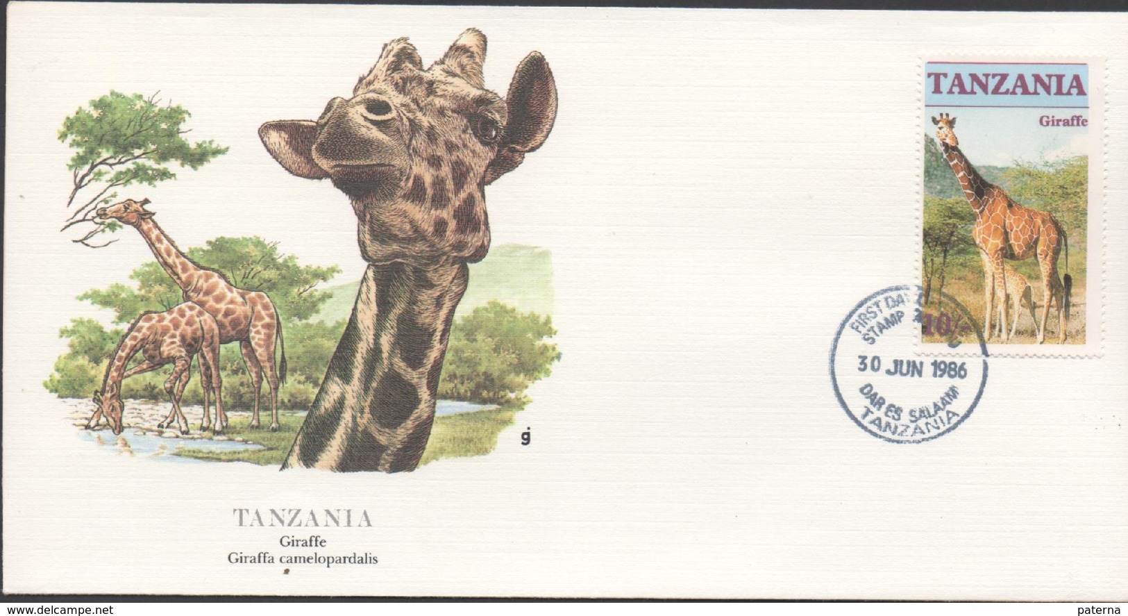 3458 Sobre Tanzania 1986, Jirafa, Giraffe, Al Dorso Explicacion - Giraffe