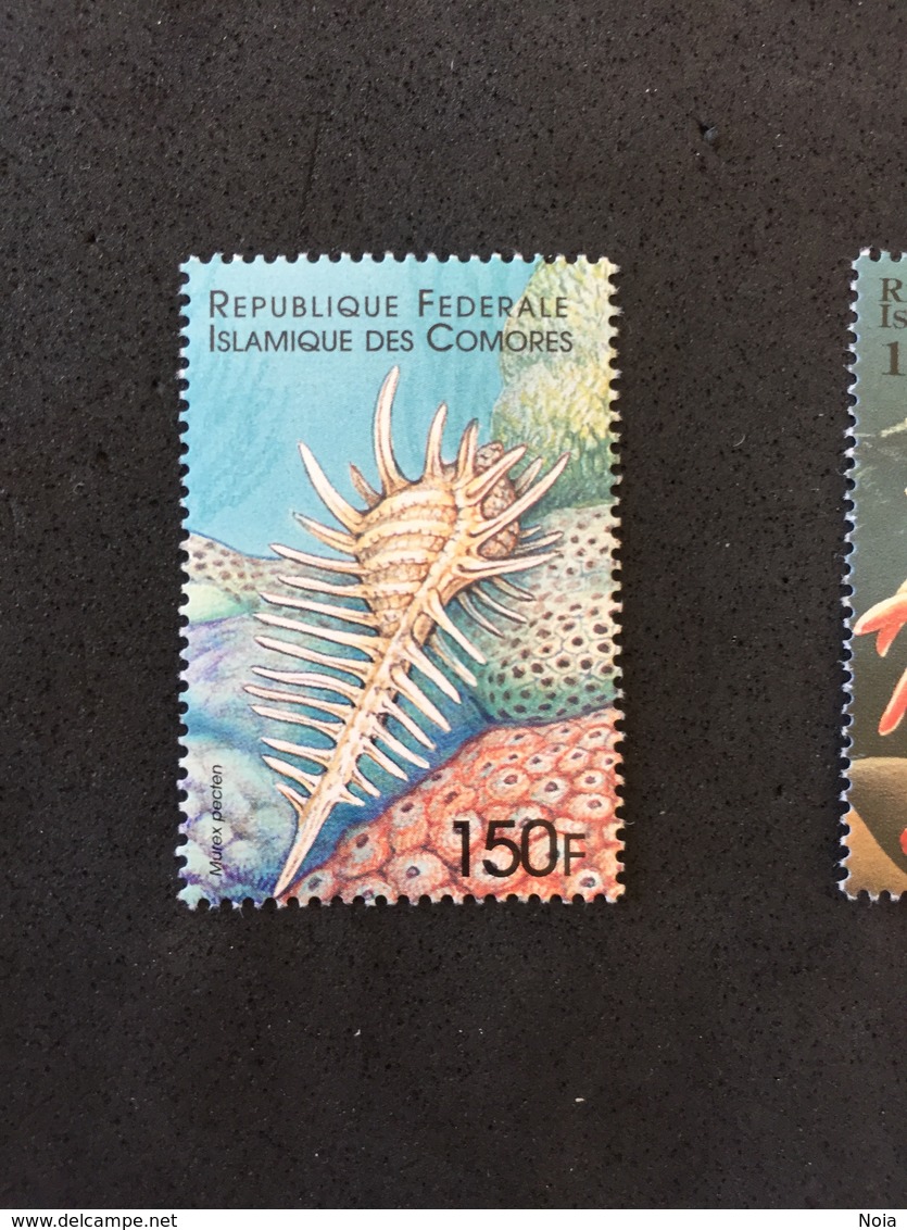 COMORES. MNH. 5R2104C - Coneshells