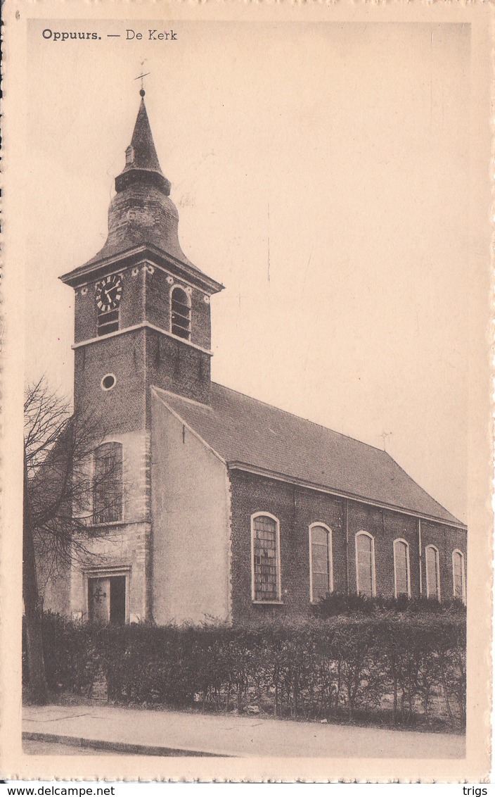 Oppuurs - De Kerk - Puurs