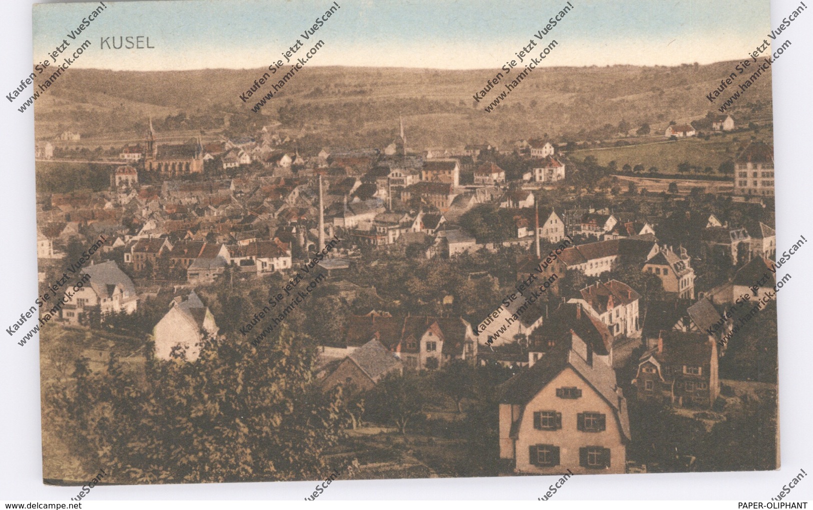 6798 KUSEL, Gesamtansicht 1919 - Kusel