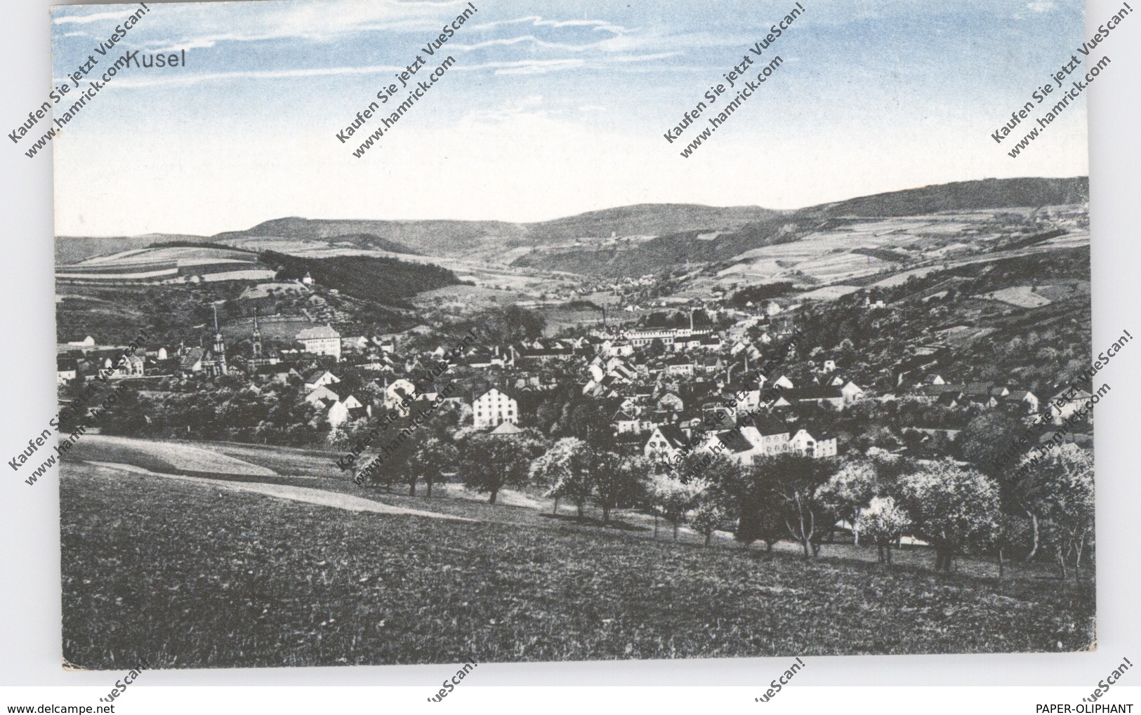 6798 KUSEL, Gesamtansicht 1919 - Kusel