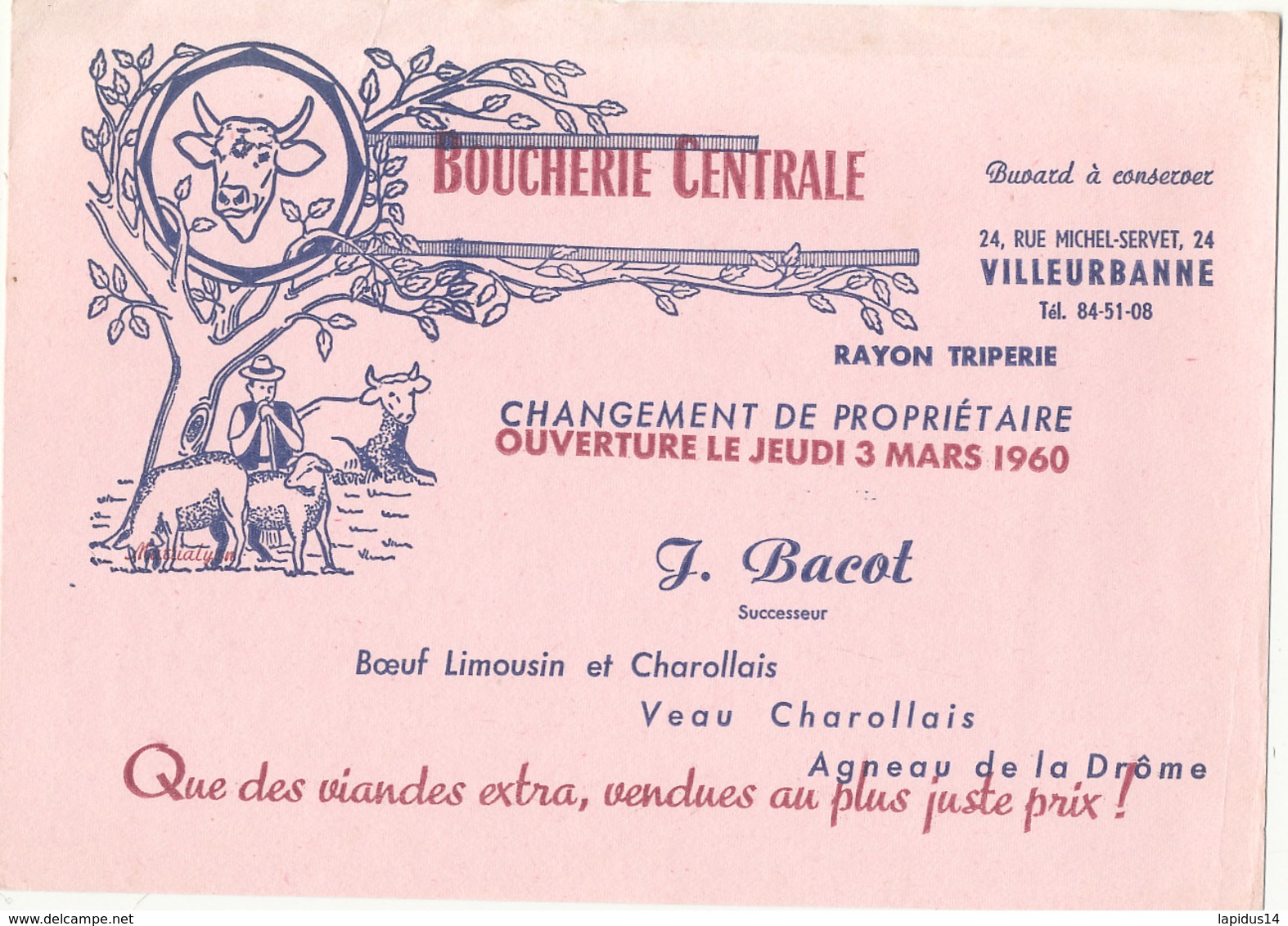 BU 1761 /   BUVARD   - BOUCHERIE CENTRALE RAYON TRIPERIE  J. BACOT VILLEURBANNE - Alimentare