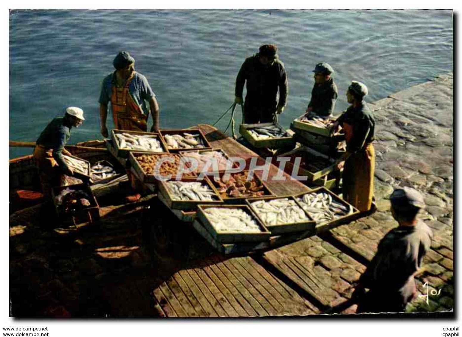 CPM La Bretagne En Couleurs Debarquement De Poisson La Turballe - La Turballe