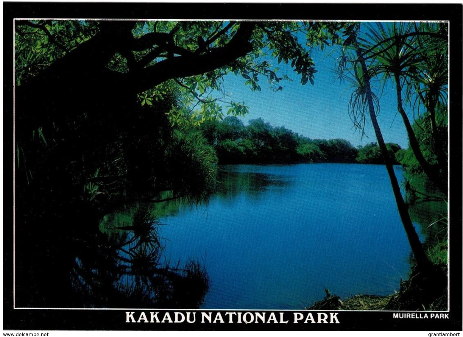 Billabong, Muirella Park, Kakadu National Park, Northern Territory - Unused - Kakadu