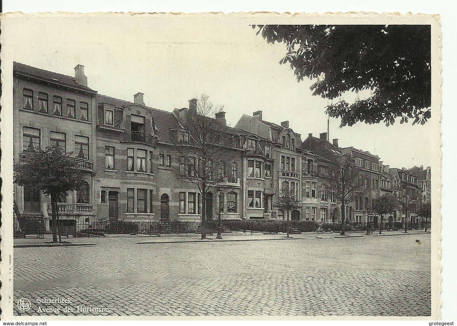 CP.Bruxelles-Schaerbeek (ex-Collection DELOOSE) - Avenue Des Hortensias -  W0047 - Schaarbeek - Schaerbeek