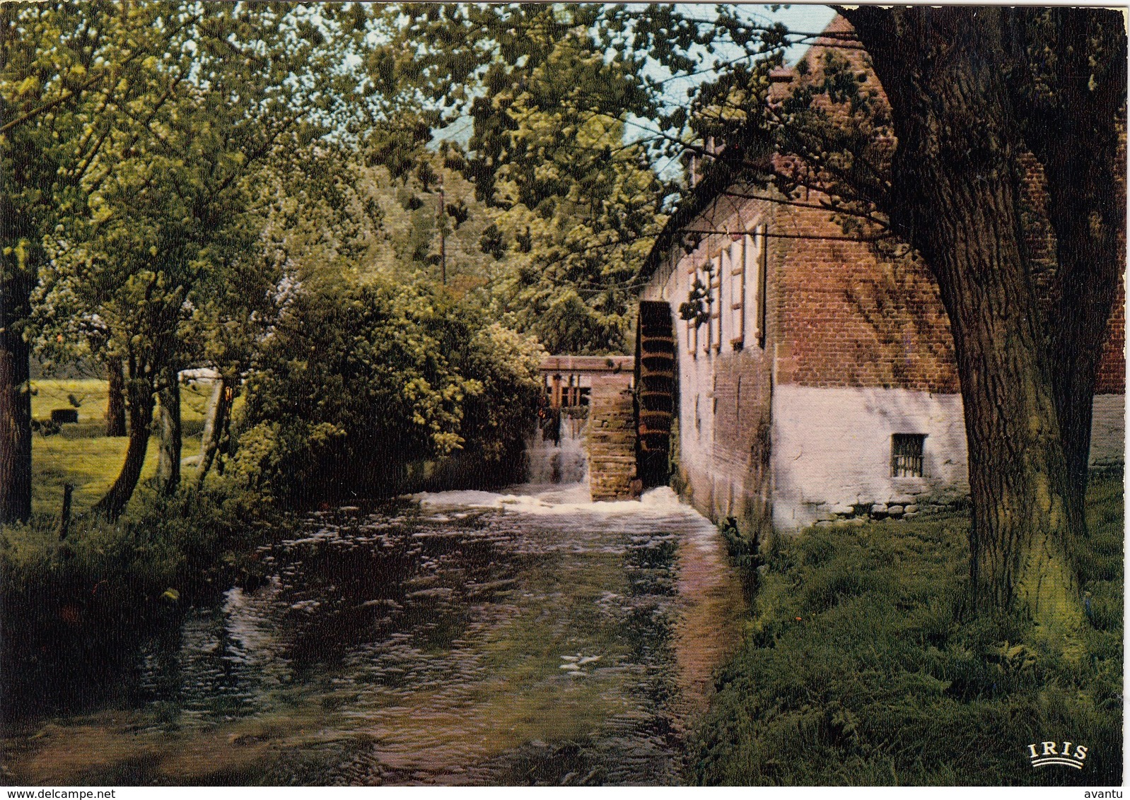 GRIMBERGEN / LIERMOLEN / MOLEN - Grimbergen