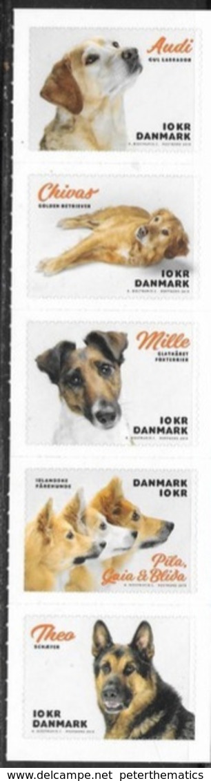 DENMARK, 2019, MNH, DOGS, 5v S/A Ex. BOOKLET - Dogs