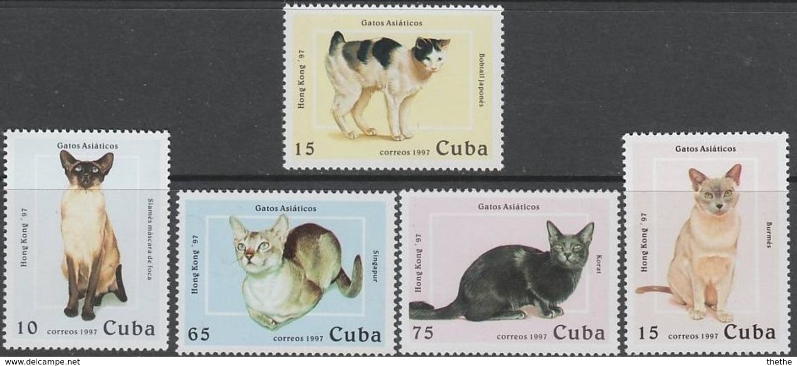 CUBA - Chats  - Hong Kong 97 - Collections, Lots & Séries