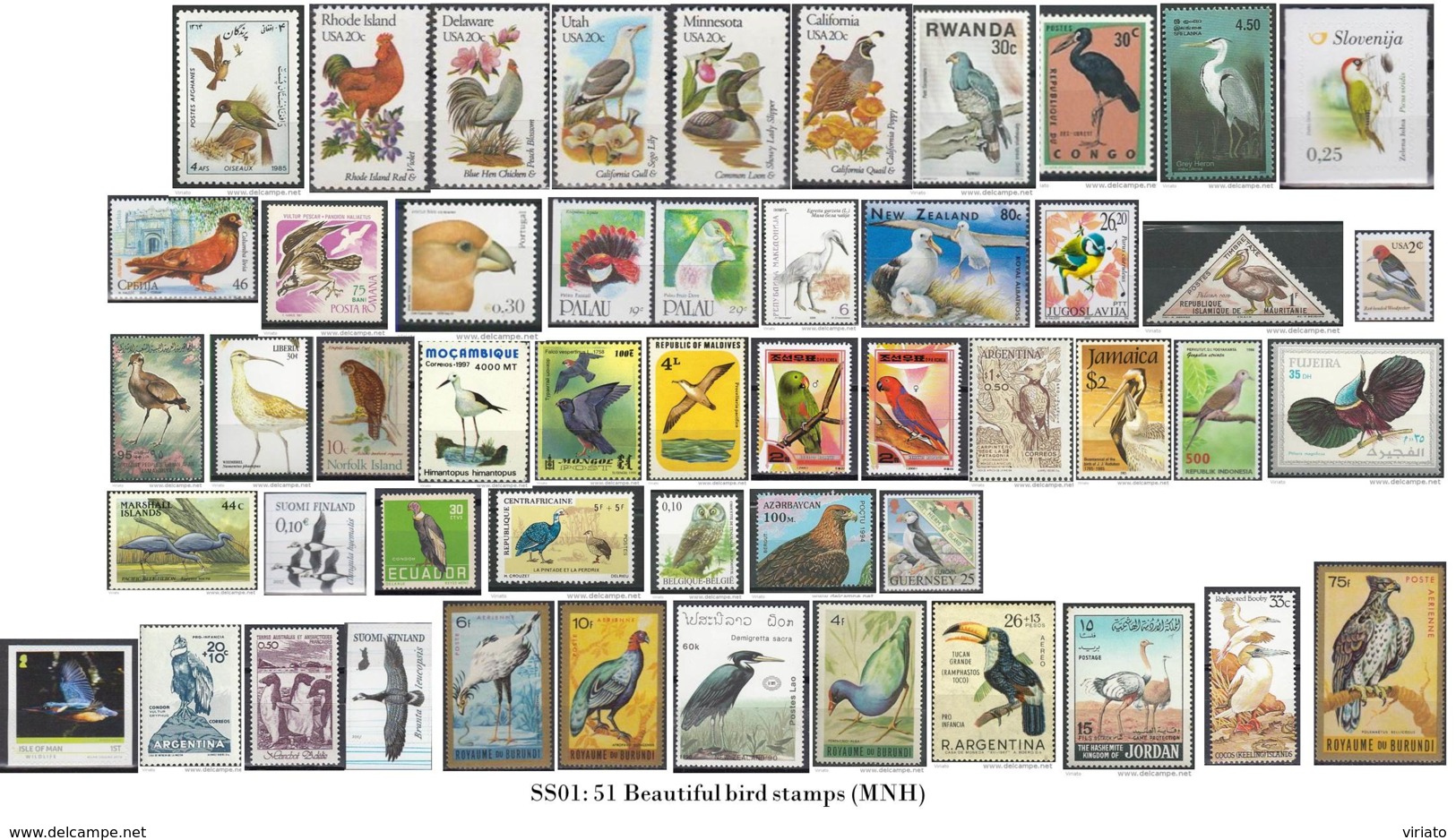 SS01 - 51 Bird Stamps (MNH) - Verzamelingen, Voorwerpen & Reeksen