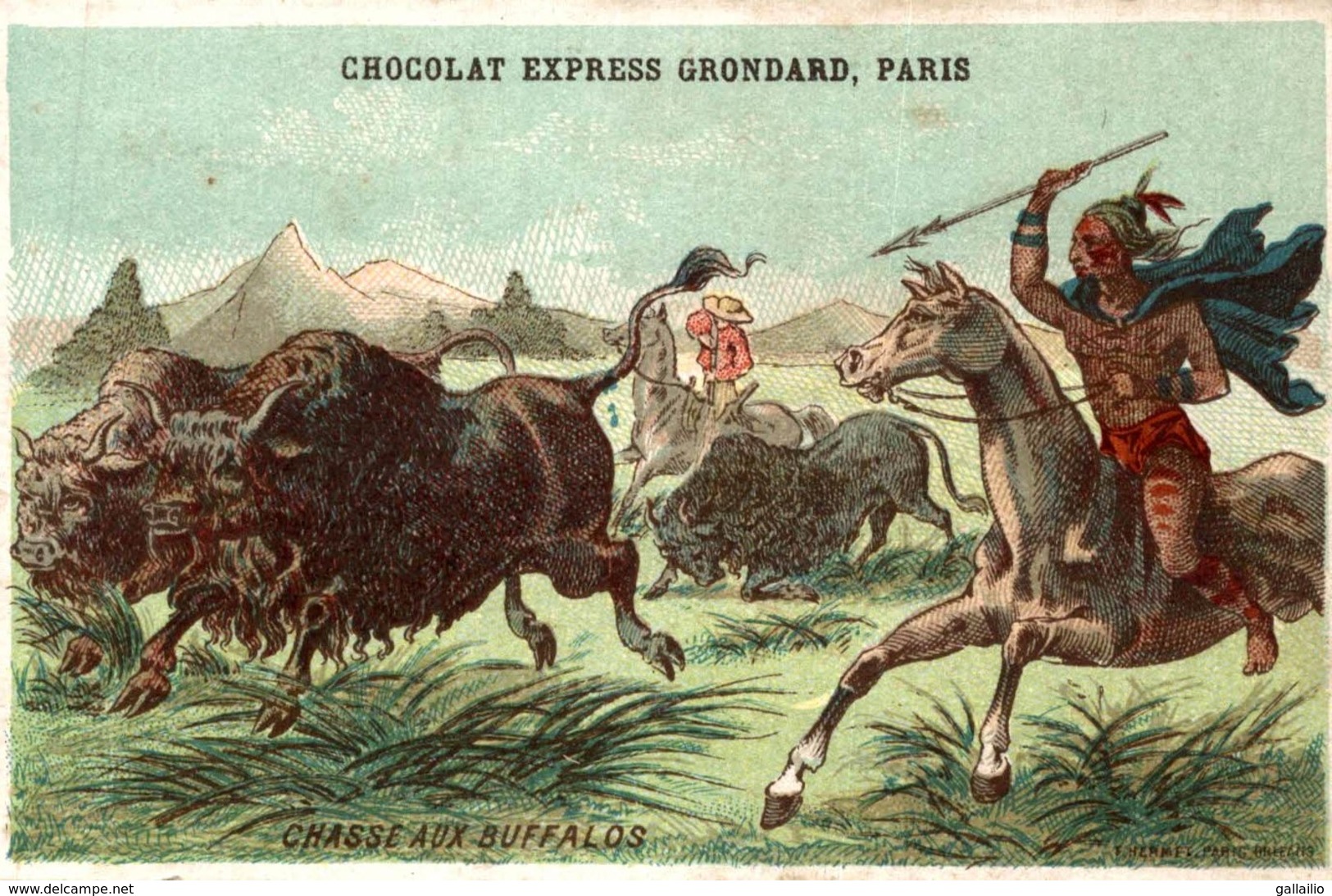 CHROMO CHOCOLAT EXPRESS GRONDARD CHASSE AUX BUFFALOS - Otros & Sin Clasificación