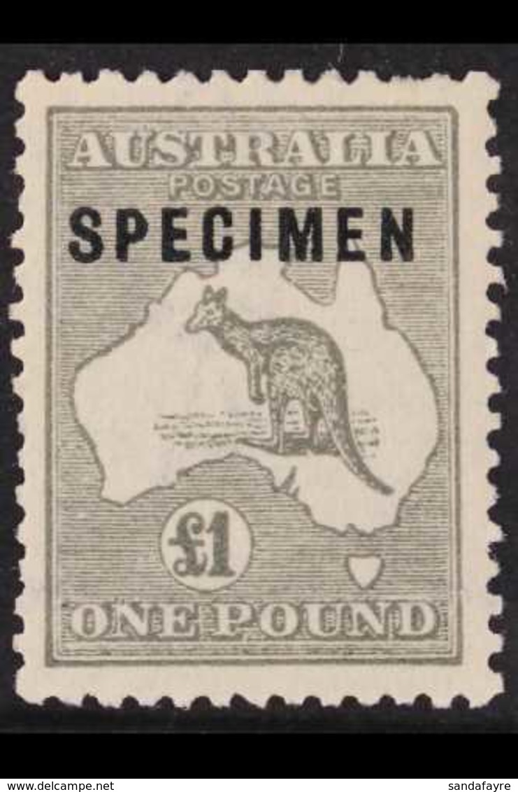 1923-24  £1 Grey Kangaroo, Overprinted "SPECIMEN", Large Part Gum, Shorter Perf At Top.. For More Images, Please Visit H - Sonstige & Ohne Zuordnung