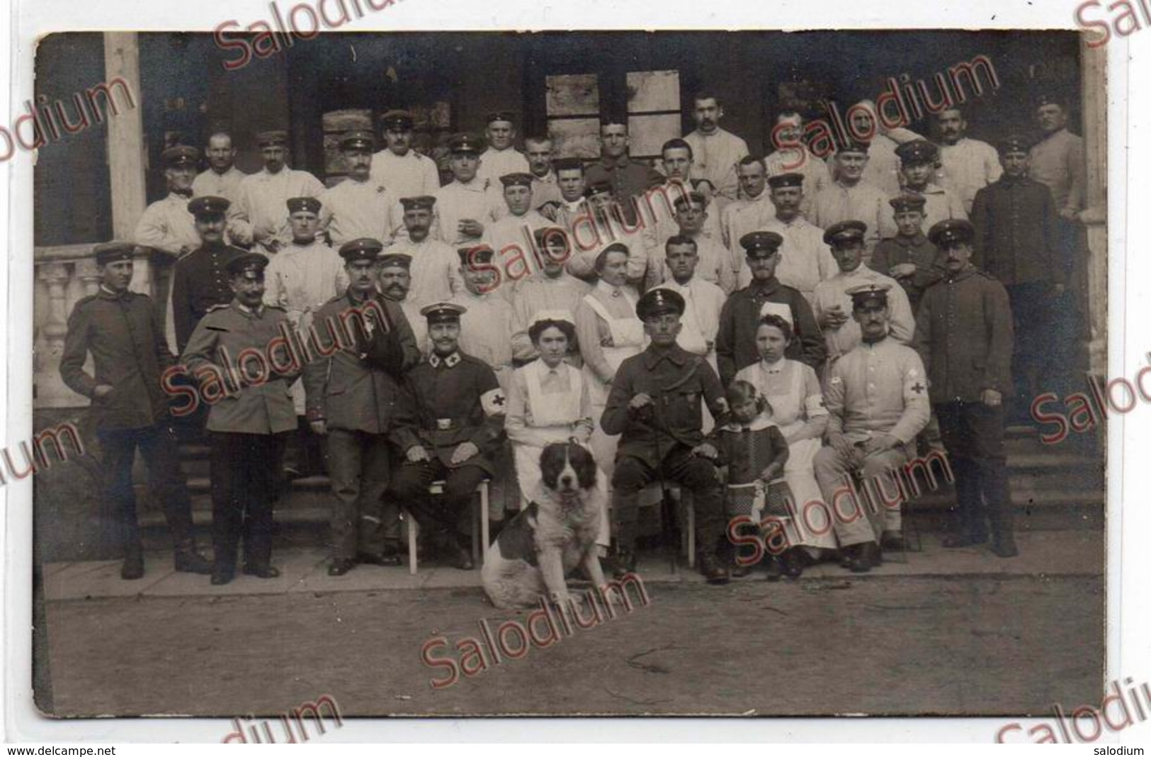 Militari Ospedal Hospital Sanità Cane San Bernardo Medicina Medico Doctor - Guerra War Ww1 Germany - Guerra 1914-18