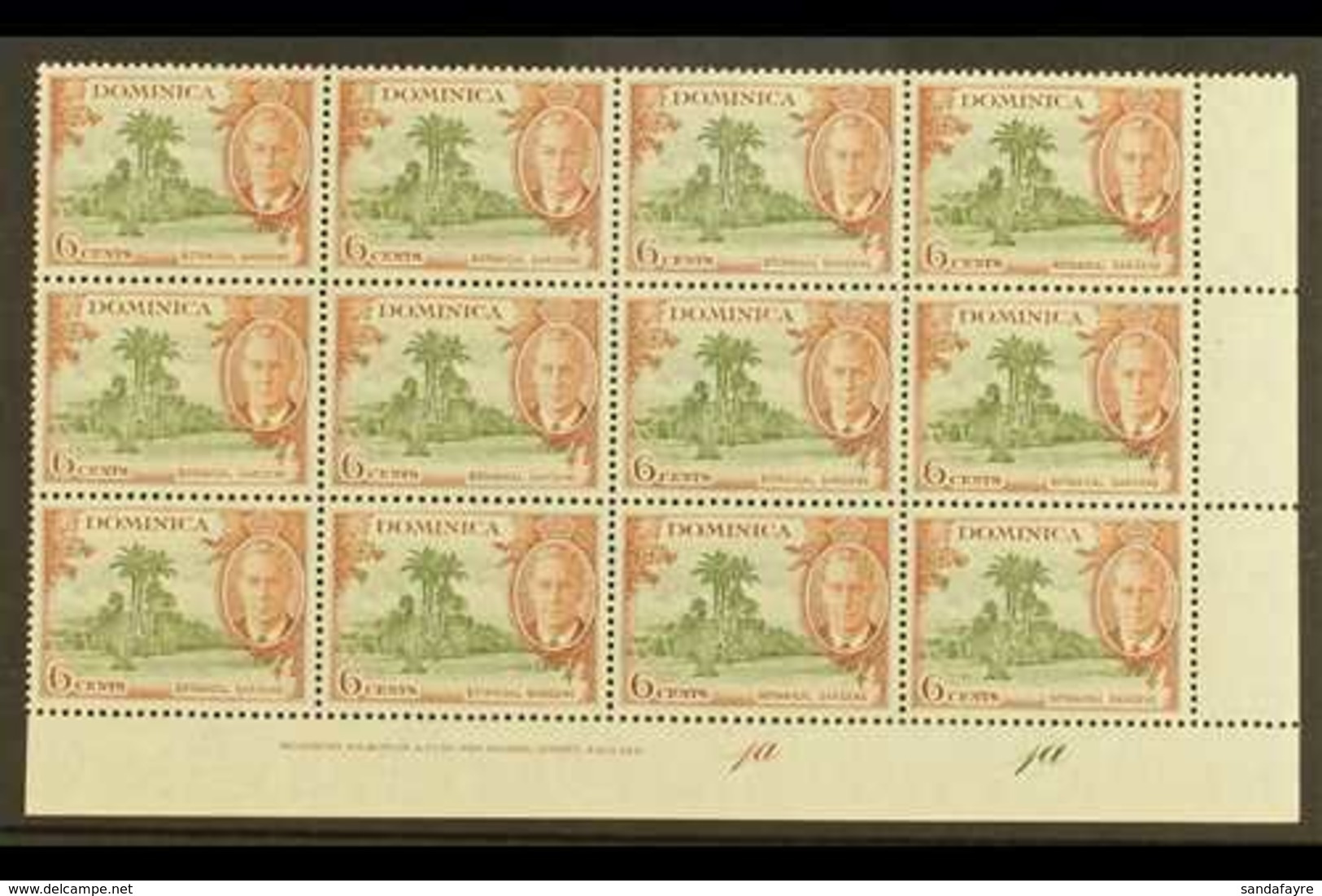 1951  6c Olive & Chestnut "A" OF "CA" MISSING FROM WATERMARK Variety (SG 126b, MP 22b) Within Superb Never Hinged Mint L - Dominica (...-1978)