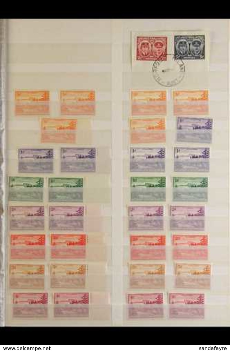 1947-1981 MINT / NHM COLLECTION  A Beautiful Collection Of Sets, Miniature Sheets & Se-tenant Issues Presented Chronolog - Norfolkinsel