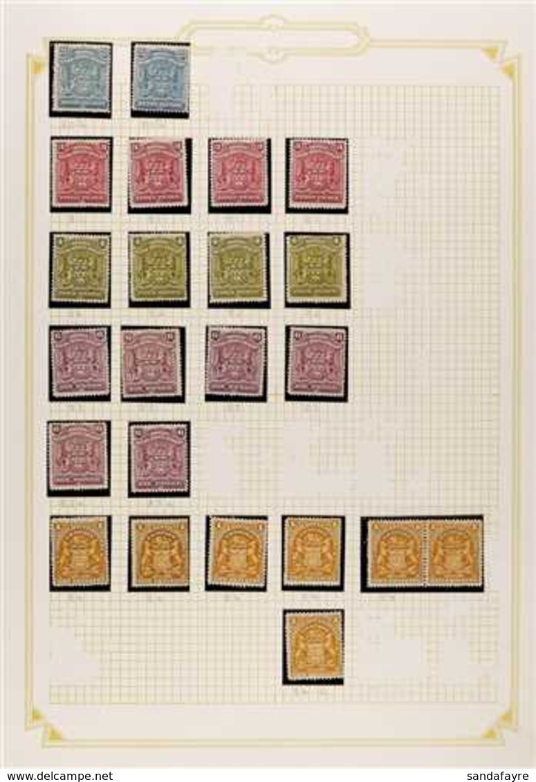 1898-1908 MINT COLLECTION  With Many Shades In Hingeless Mounts On Leaves, Includes 1898-1908 ½d (x7), 1d (x13), 2d (x4) - Sonstige & Ohne Zuordnung