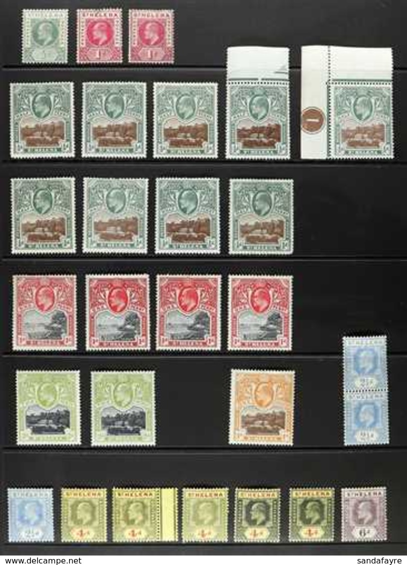 1902-1922 MINT & NHM ACCUMULATION.  A Most Interesting Mint & Nhm Hoard (mostly NHM) Presented On A Series Of Stock Page - St. Helena