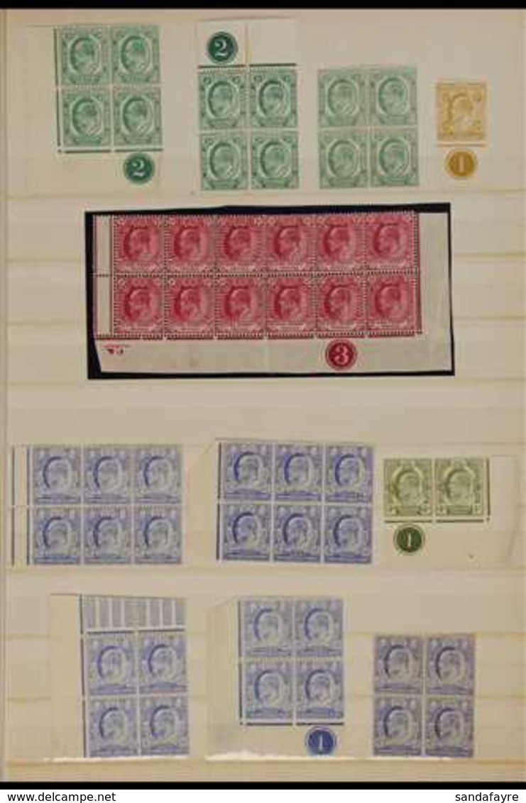 CAPE OF GOOD HOPE.  1902-1904 MINT, NEVER HINGED MINT & USED KEVII Ranges (mostly Mint & Nhm) Presented On A Double Side - Ohne Zuordnung