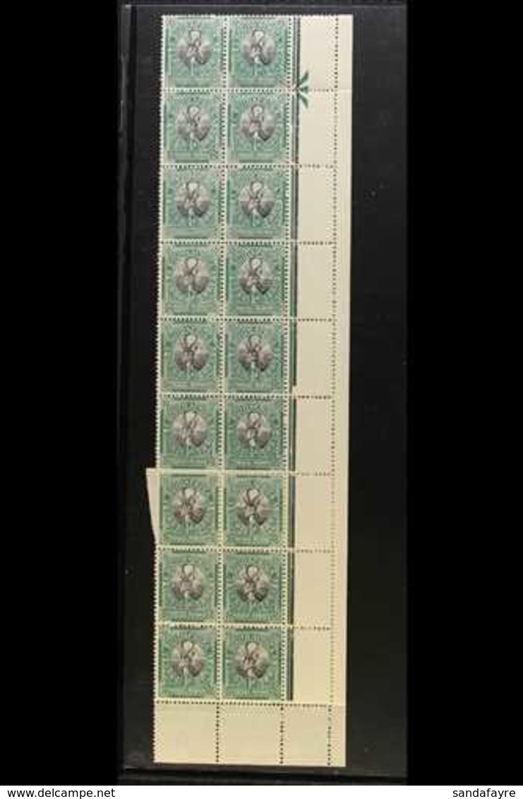 1926-27  ½d Black & Green, Pretoria Printing, Issue 3, Two Complete Columns Of Stamps From Right Of Sheet (R1-20/11+12)  - Ohne Zuordnung