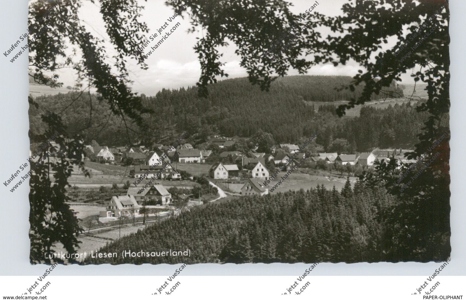 5789 HALLENBERG - LIESEN (Meschede), Ortsansicht, Landpoststempel, 1961 - Meschede