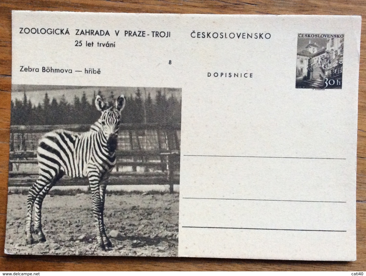 ZOOLOGIA ZEBRA  DOPISNICA CARTOLINA POSTALE CEKOSLOVACCHIA  30 H - Nuovi