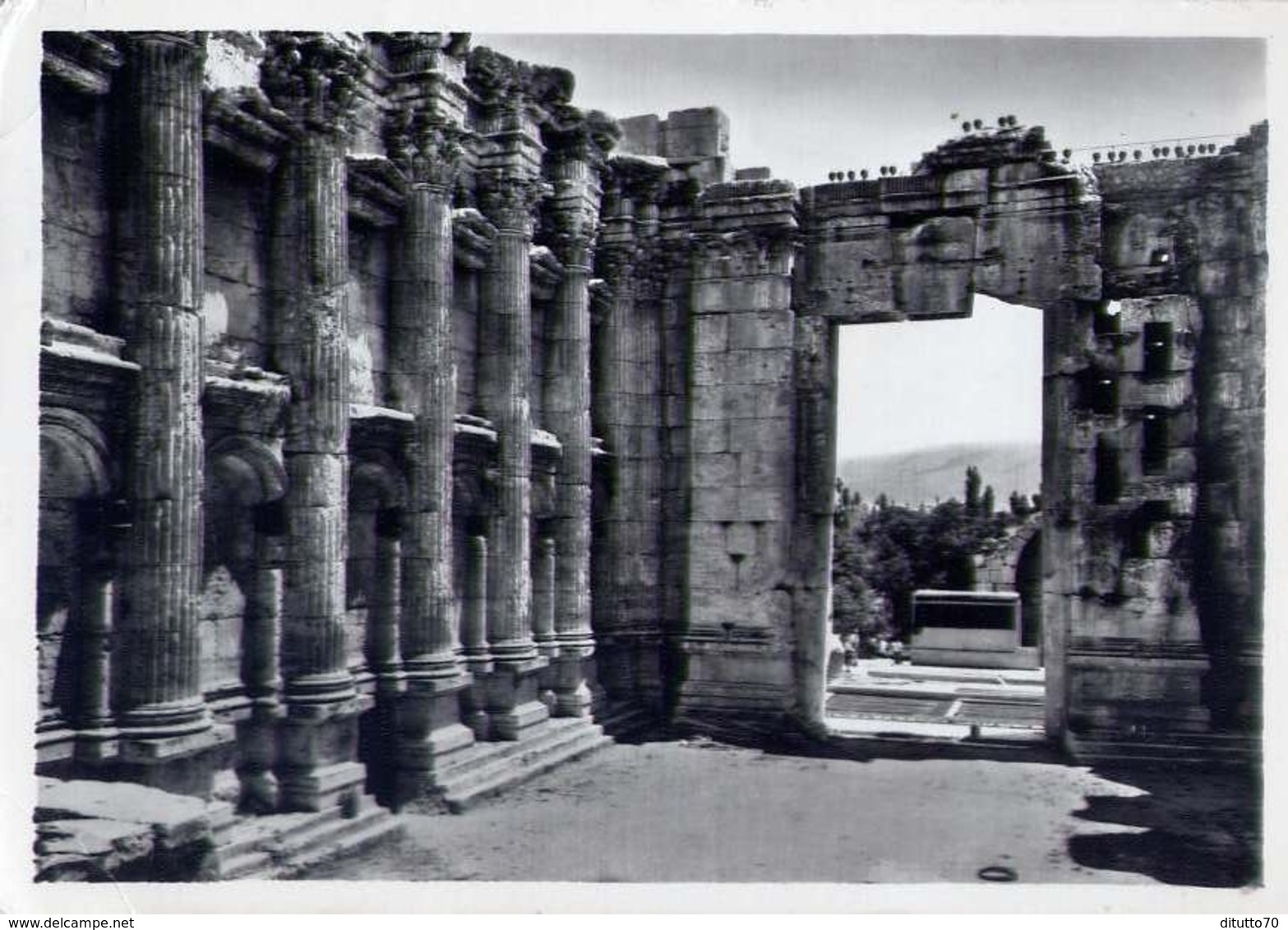 Lebanon - Baalbeck - Temple De Bacchus Interieur - Formato Grande Viaggiata – E 14 - Non Classificati