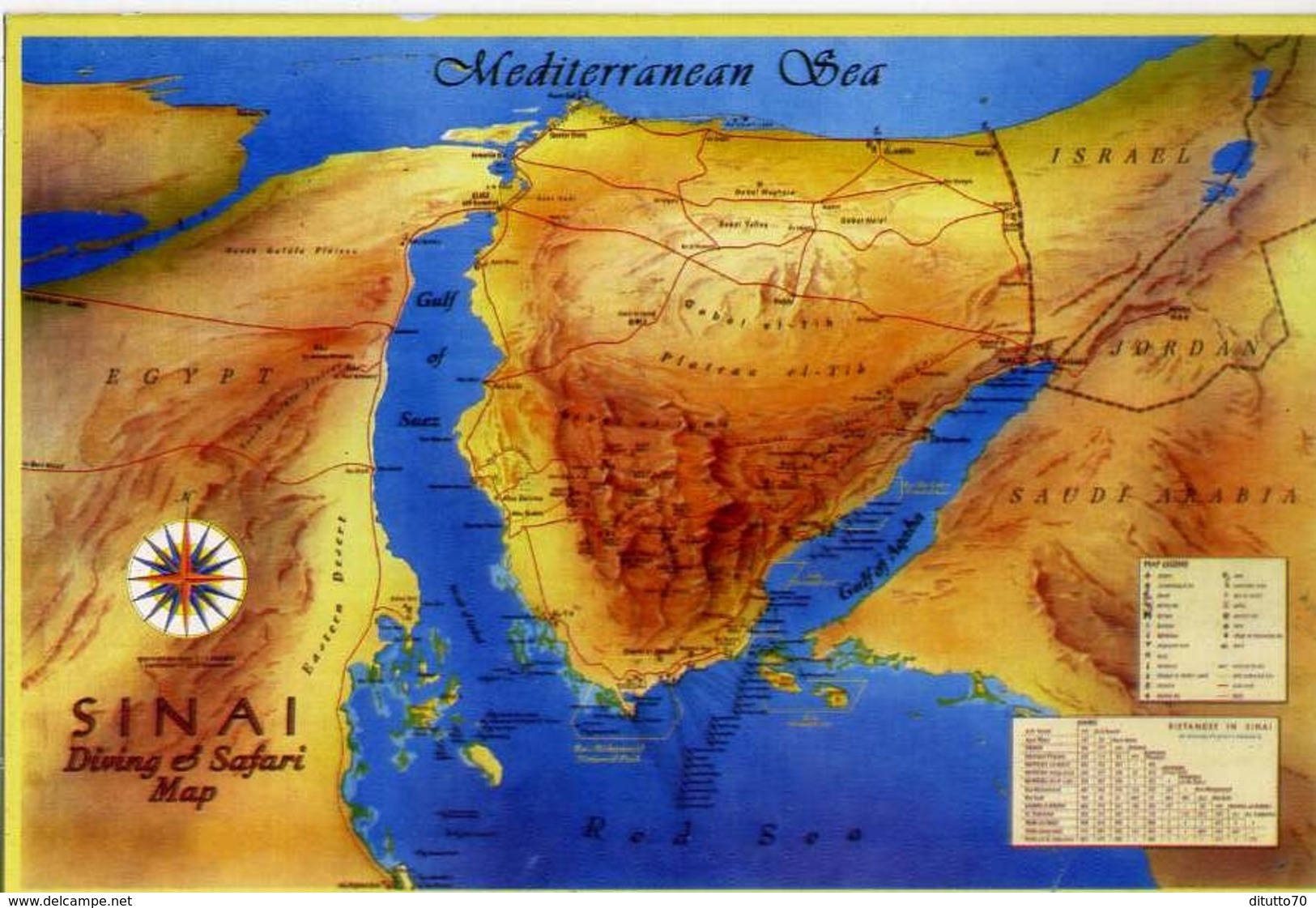 Sinai - Diving E Safari Map - Formato Grande Viaggiata – E 14 - Non Classificati
