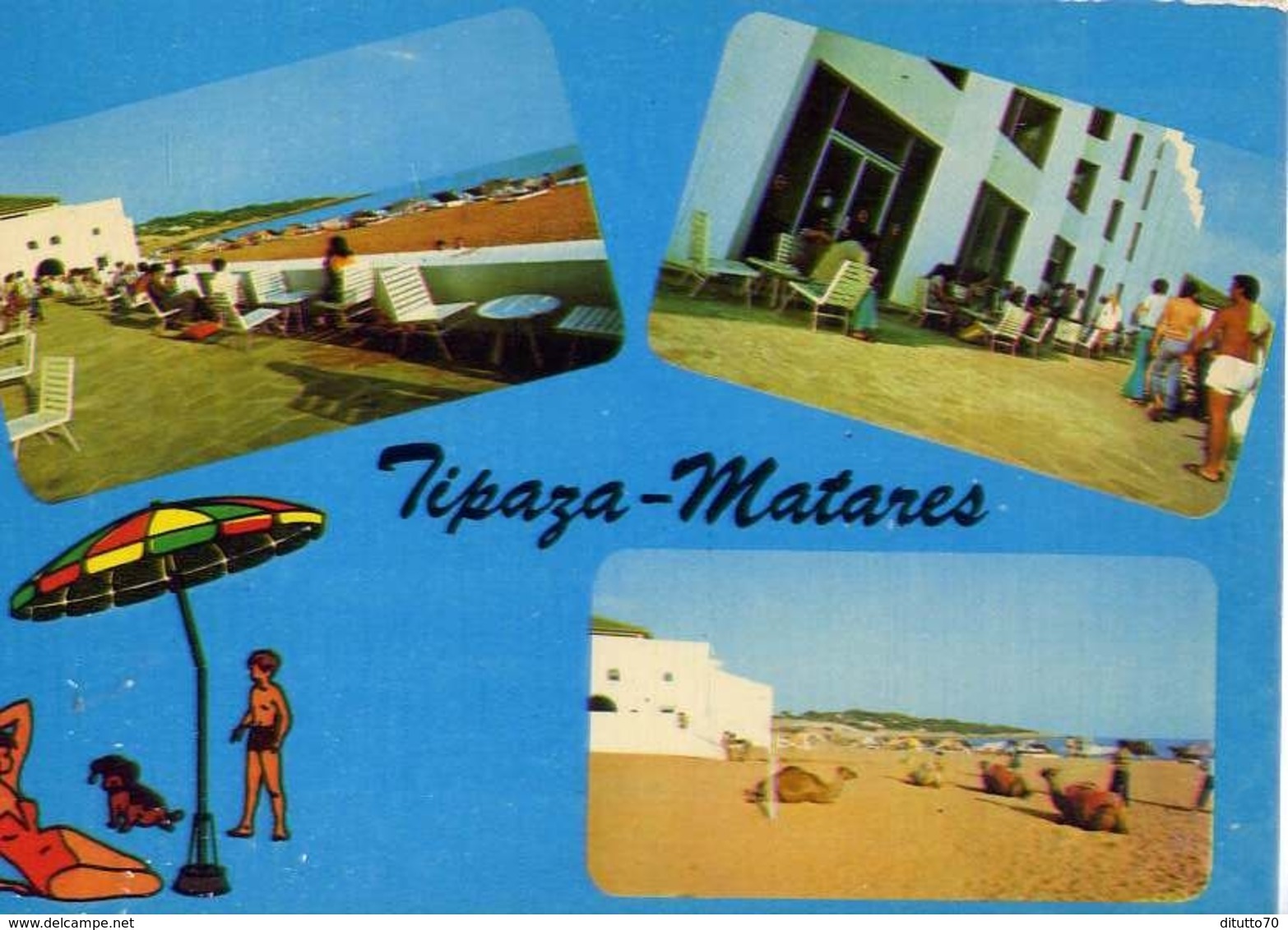 Tipaza  Matares - Formato Grande Viaggiata – E 14 - Non Classificati