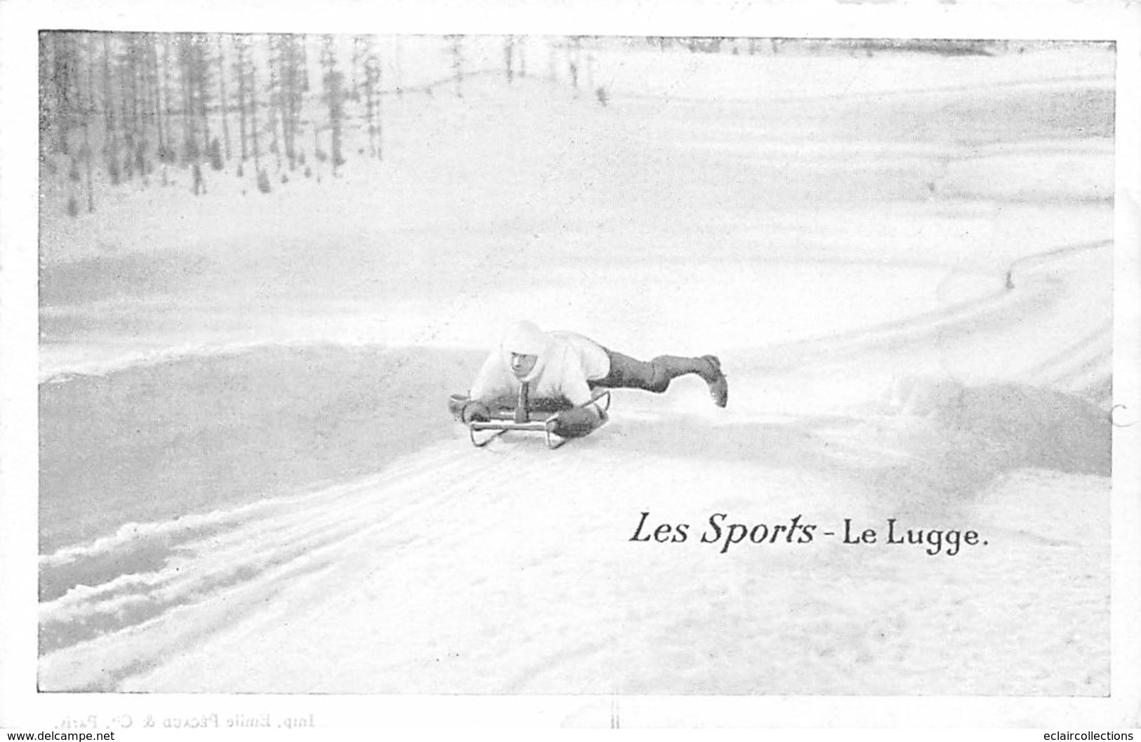 Thème   Sports D'hiver       La Luge. Série Les Sports - Homme -    (voir Scan) - Wintersport