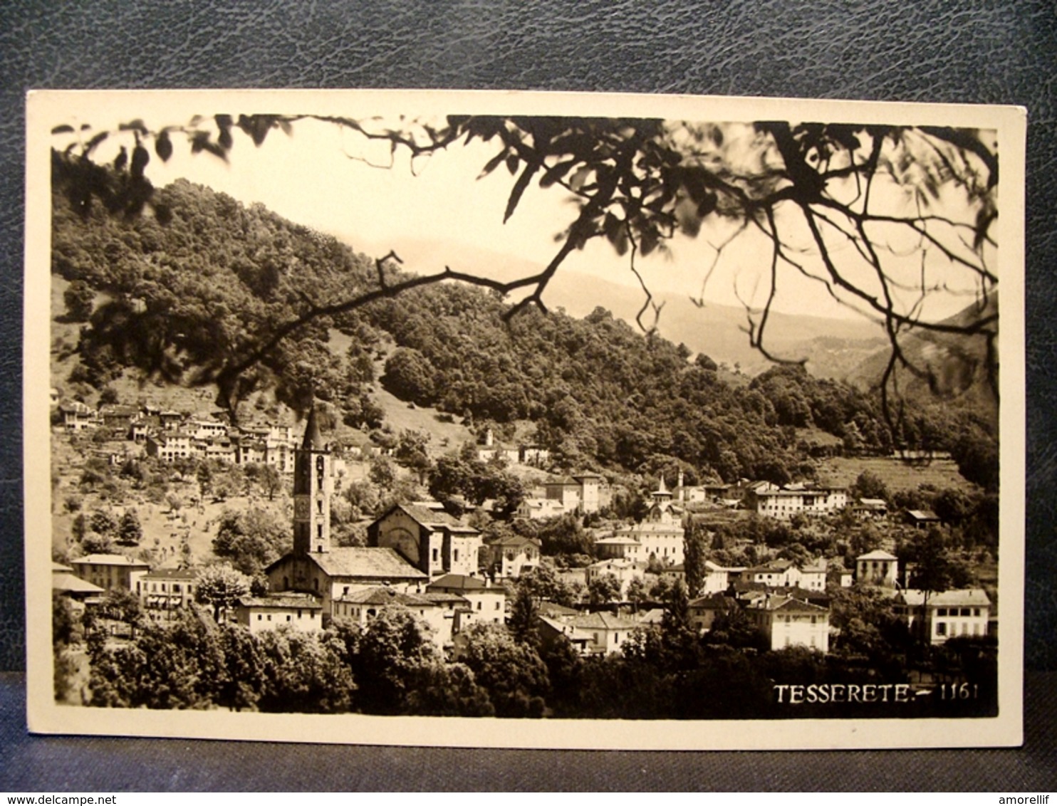 (FP.NV50) Panorama Di TESSERETE (CAPRIASCA, CANTON TICINO) - Tesserete 