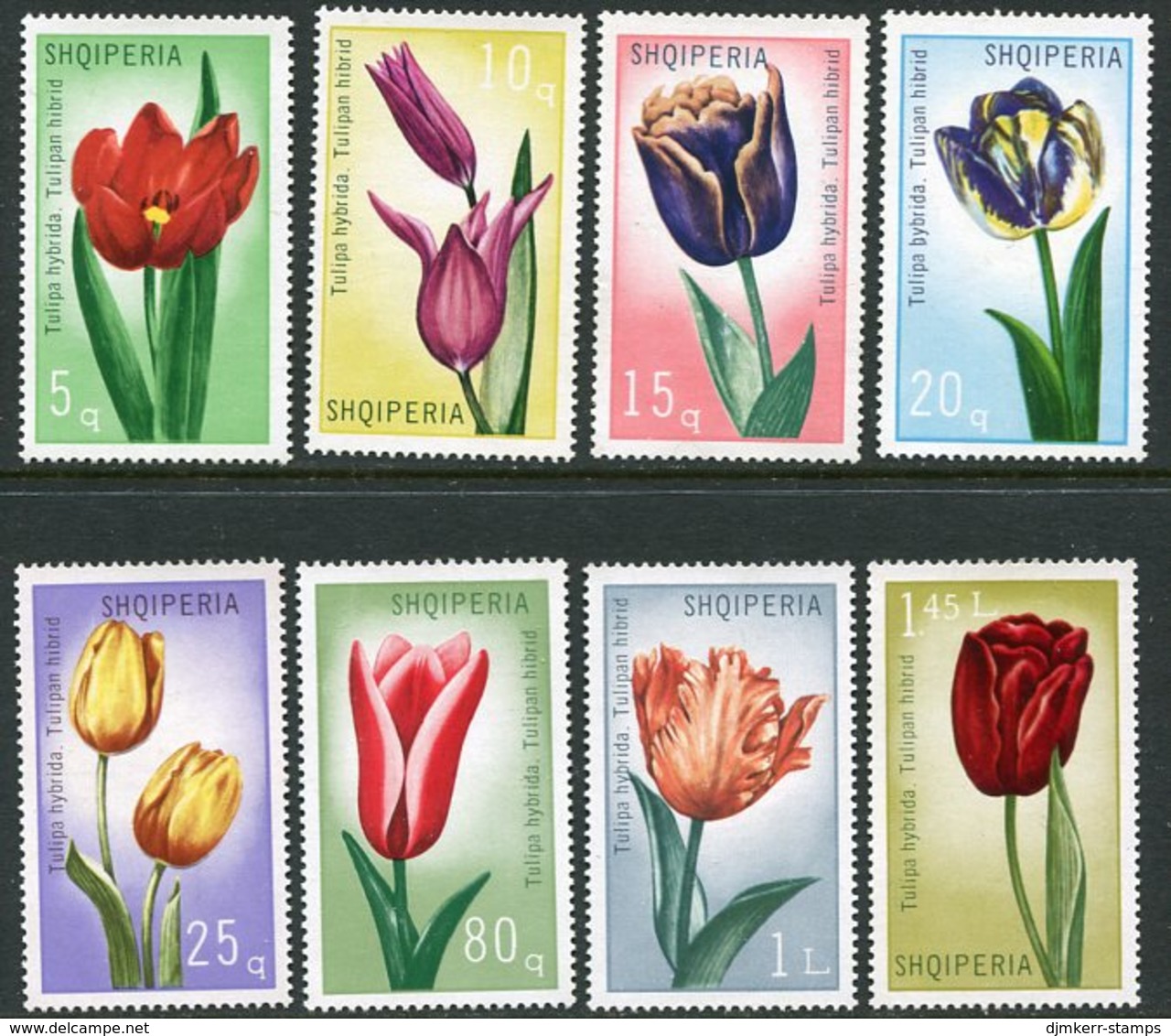 ALBANIA 1971 Tulips MNH / **,  Michel 1472-79 - Albanien