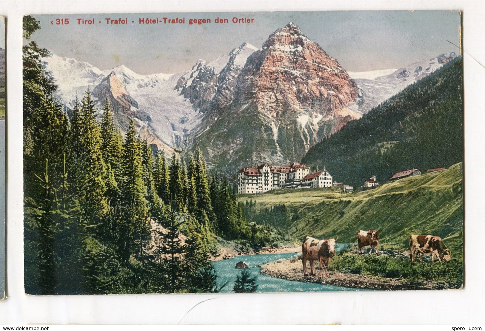 Tirol Trafoi Hotel Trafoi Gegen Den Ortier Vintage Old Postcard  Postkarte  Cow Animals Mountain - Altri & Non Classificati