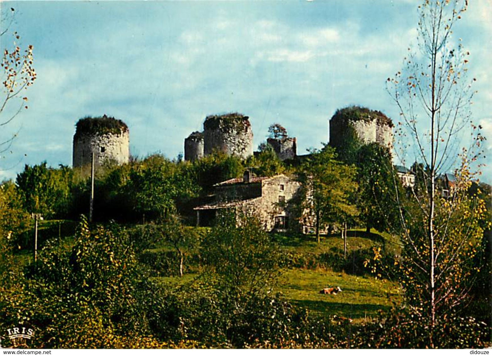 79 - Echiré - Château De Couldray-Salbart - Voir Scans Recto-Verso - Autres & Non Classés