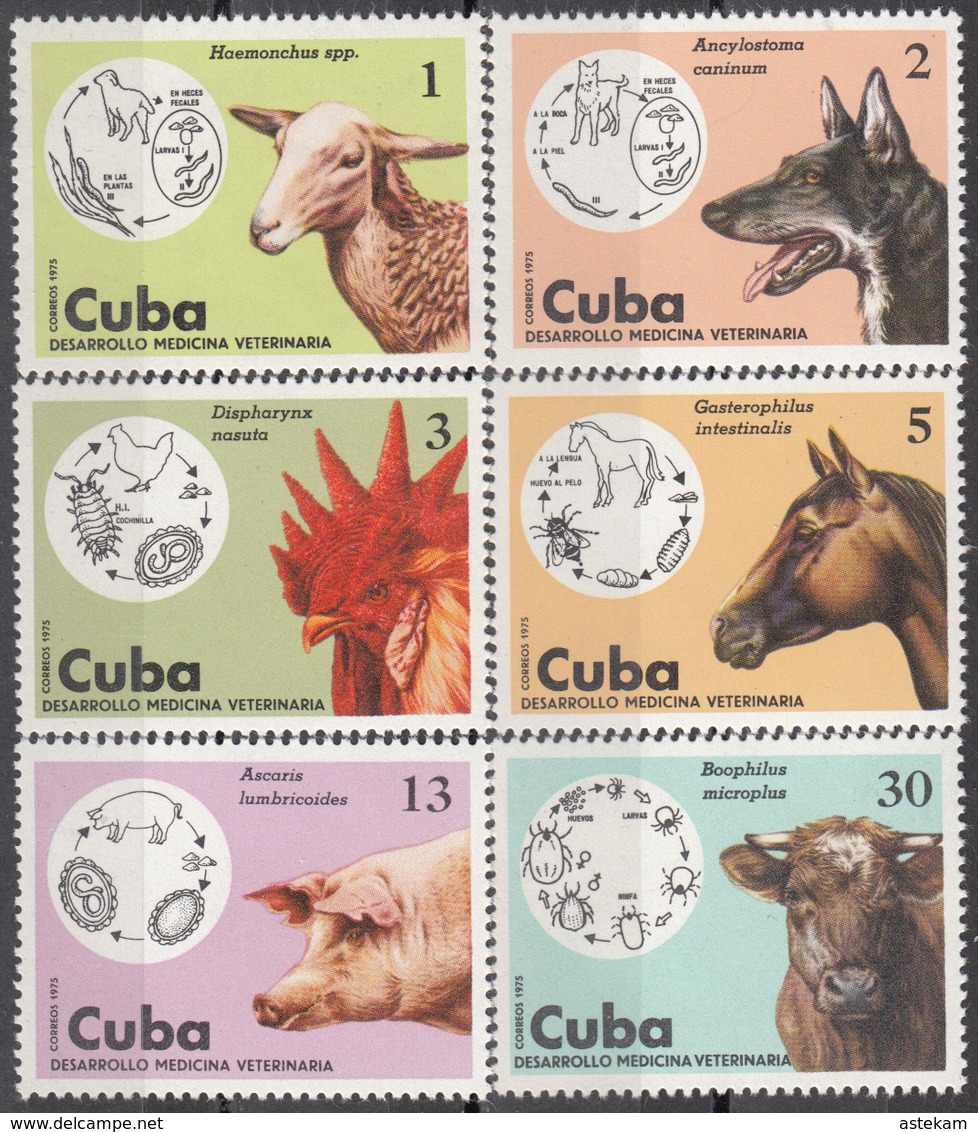 CUBA 1975, FAUNA, DOMESTIC ANIMALS, DOG, COCK, HORSE, SHEEP, PIG, COW, COMPLETE MNH SET, GOOD QUALITY, *** - Ungebraucht