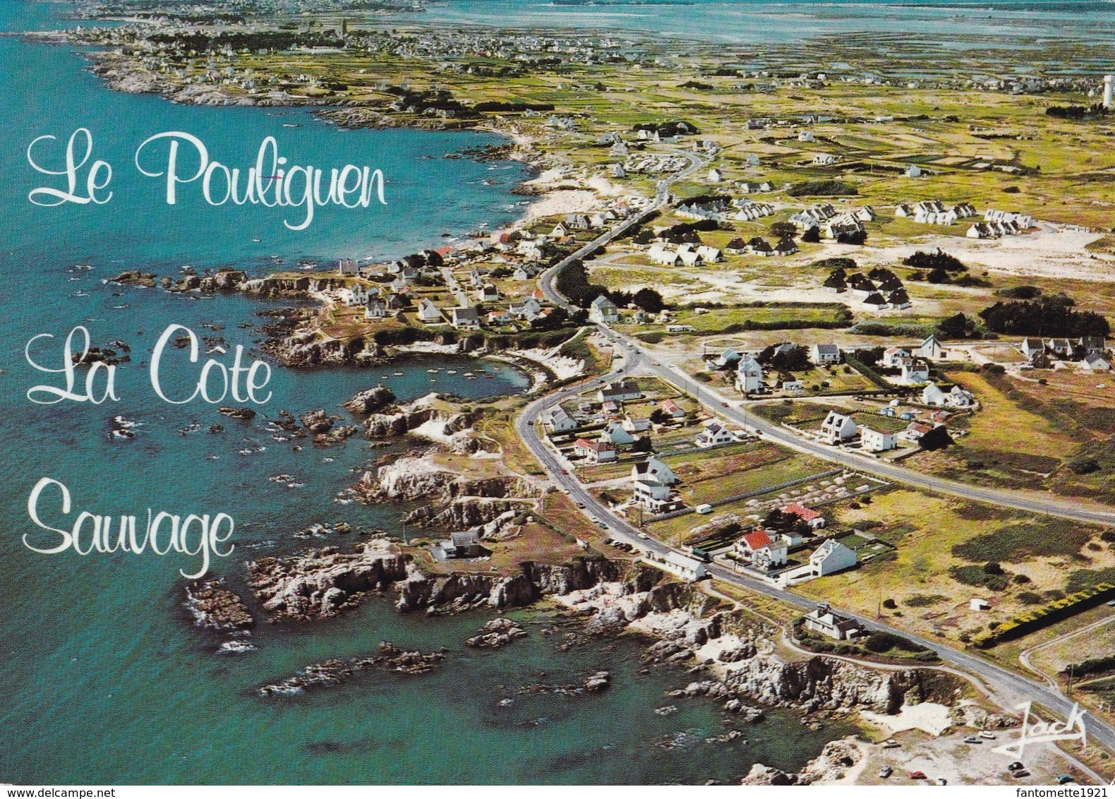 LE POULIGUEN VUE GENERALE DE LA COTE SAUVAGE  (dil433) - Le Pouliguen