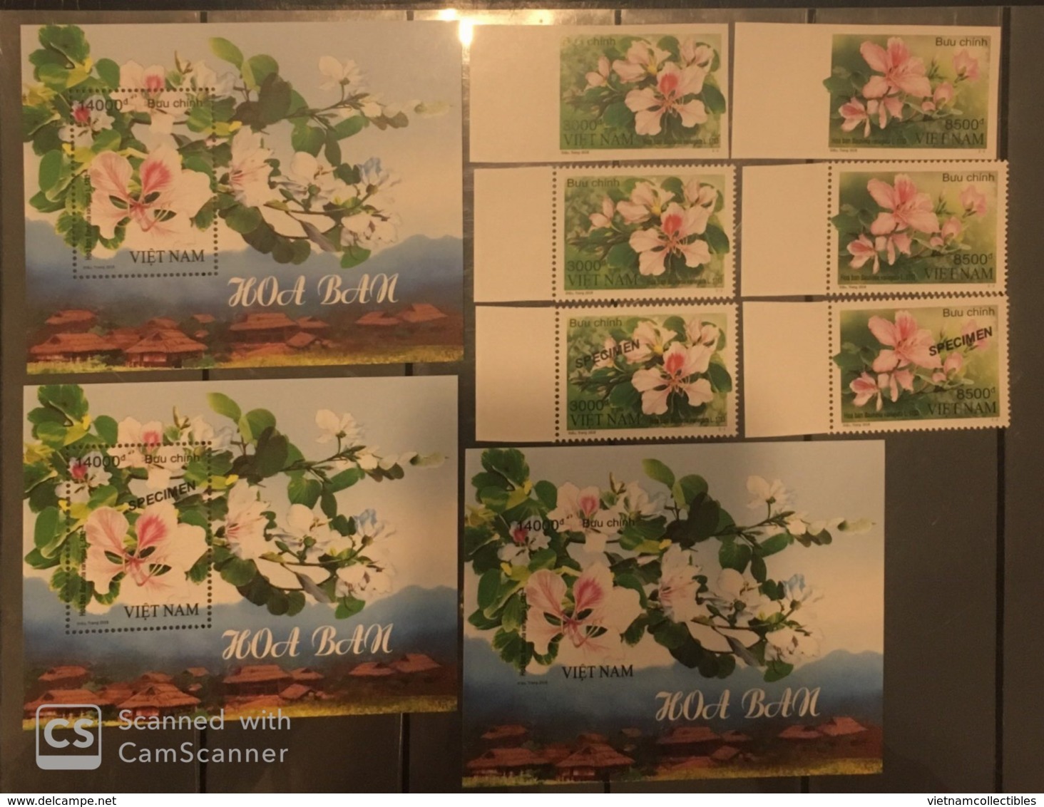 Collection Of Vietnam Viet Nam MNH Perf, Imperf, Specimen Issued On 1 Mar 2018 : Bauhinia Variefata Flower (Ms1090) - Vietnam