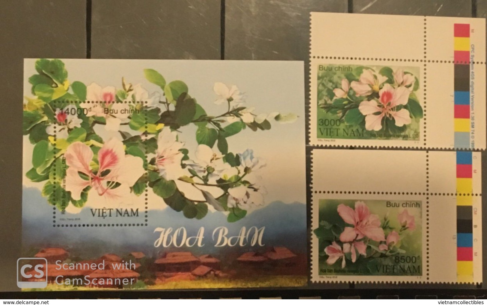 Vietnam Viet Nam MNH Perf Stamps & Souvenir Sheet 2018 : Bauhinia Variefata Flower (Ms1090) - Viêt-Nam