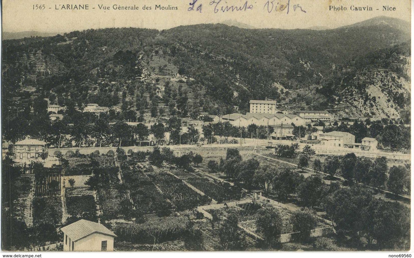 CPA 06 L'ARIANE Vue Generale Des Moulins Photo Cauvin Rare 1914 - Autres & Non Classés