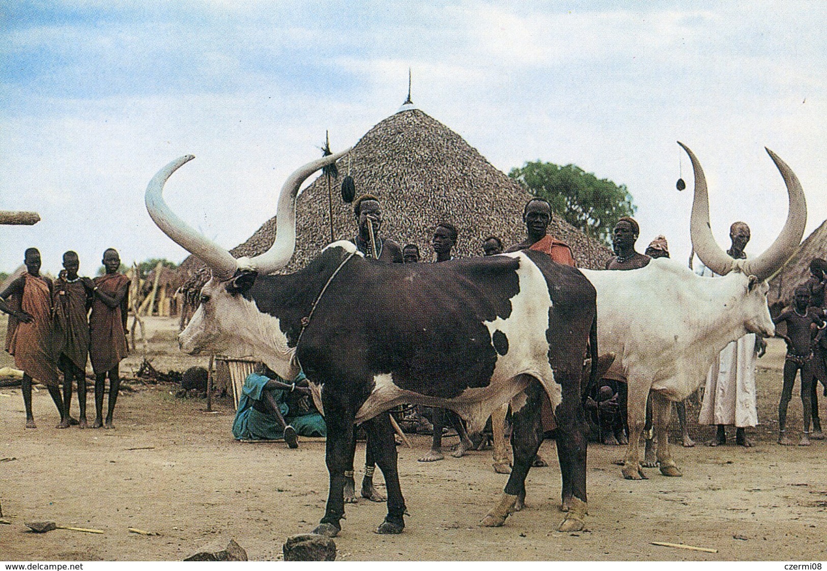 South Sudan - Postcard - Carte Postale - South Sudan