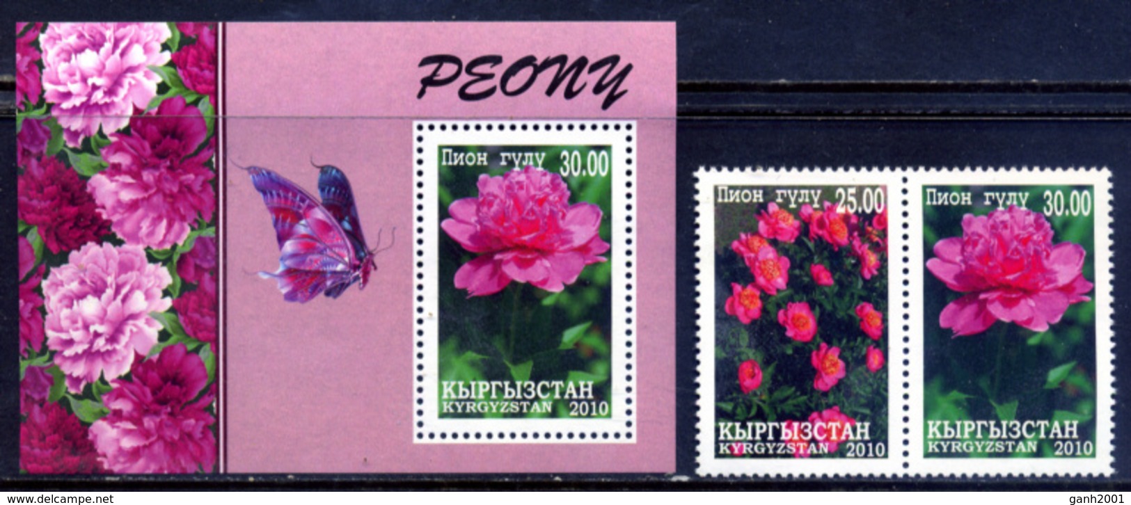 Kyrgyzstan 2010 / Flowers MNH Flores Blumen Fleurs / C3636  5-13 - Otros & Sin Clasificación