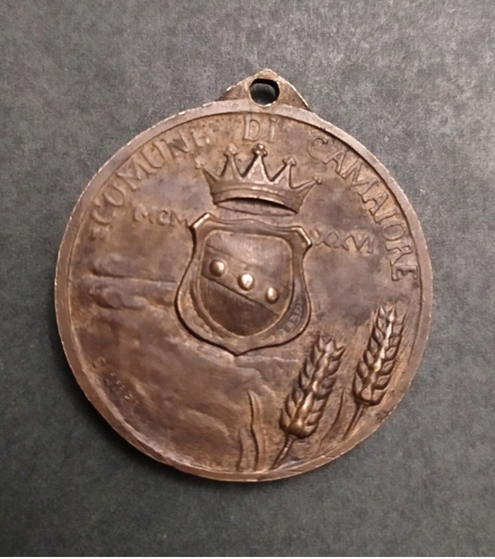 Medaglia Littoria Comune Di Camaiore - 1914-18