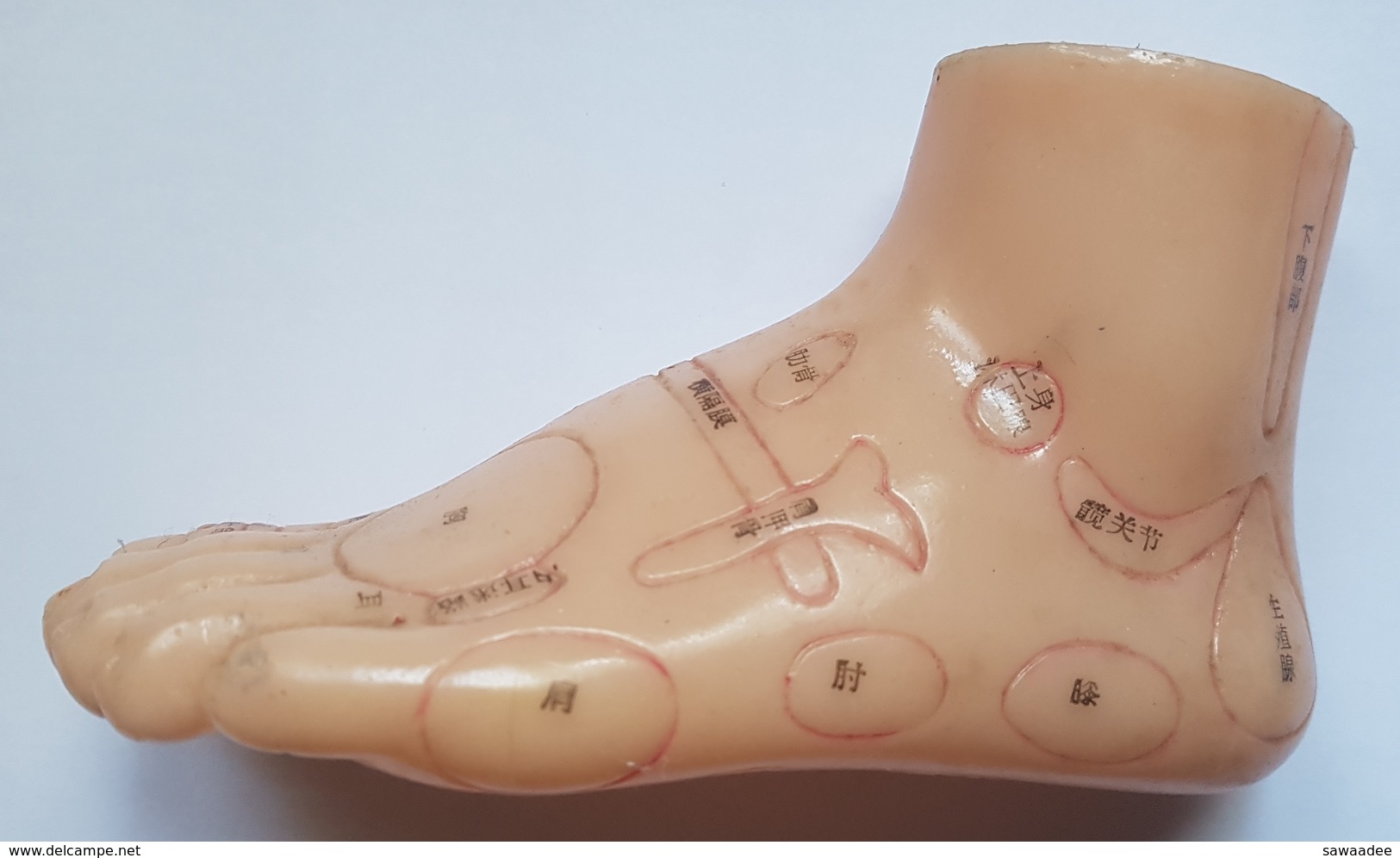 OUTIL PEDAGOGIQUE - CHINE - REFLEXOLOGIE - PIED GAUCHE - CAOUTCHOUC - IDEOGRAMME - Matériel Médical & Dentaire