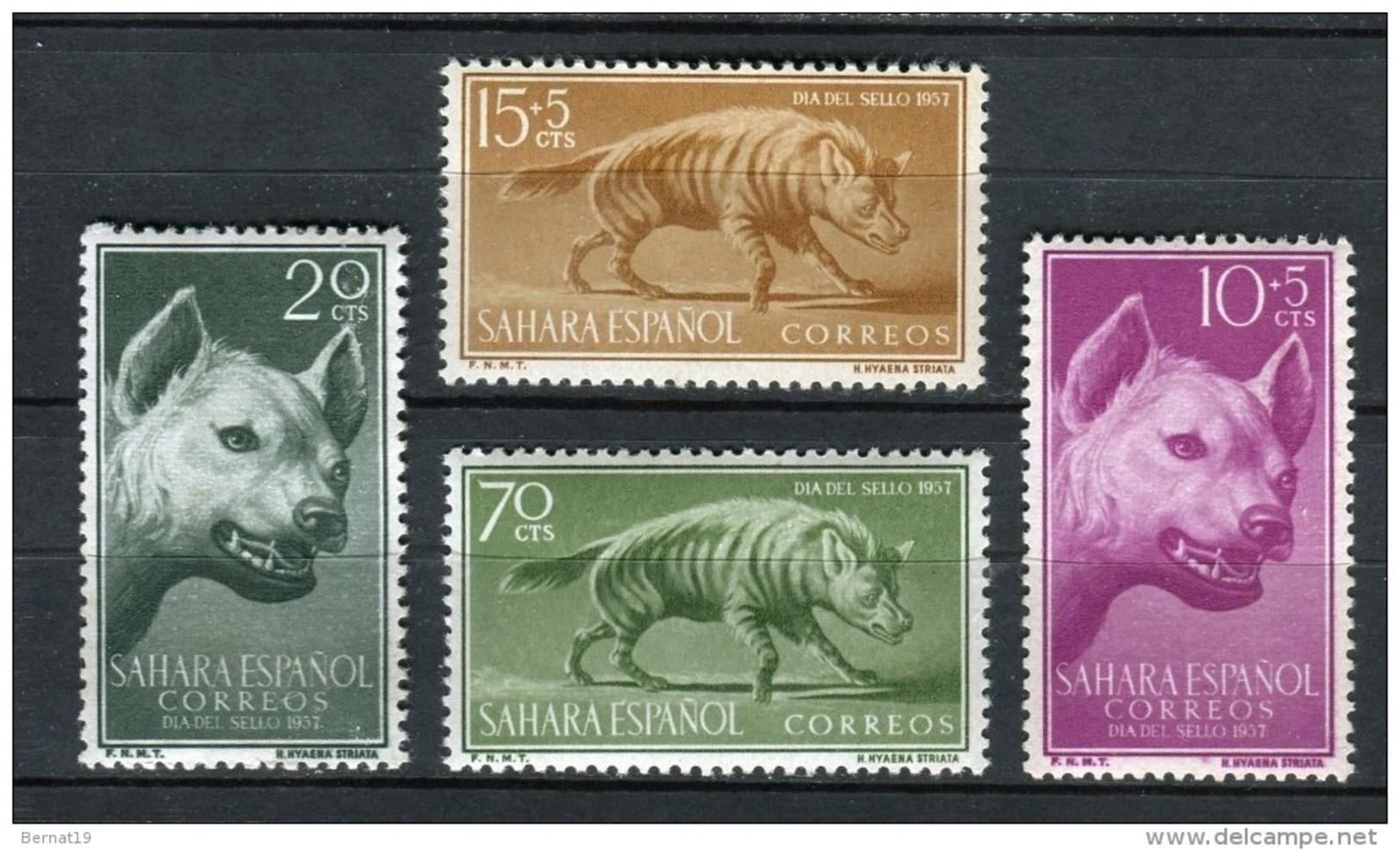 Sahara 1957. Edifil 142-45 ** MNH. - Sahara Spagnolo