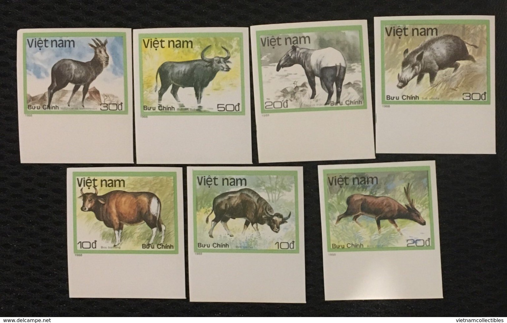 Vietnam Viet Nam MNH Imperf Stamps 1988 : Wild Animals / Tapir / Boar / Buffalo / Deer / Goat (Ms554) - Vietnam