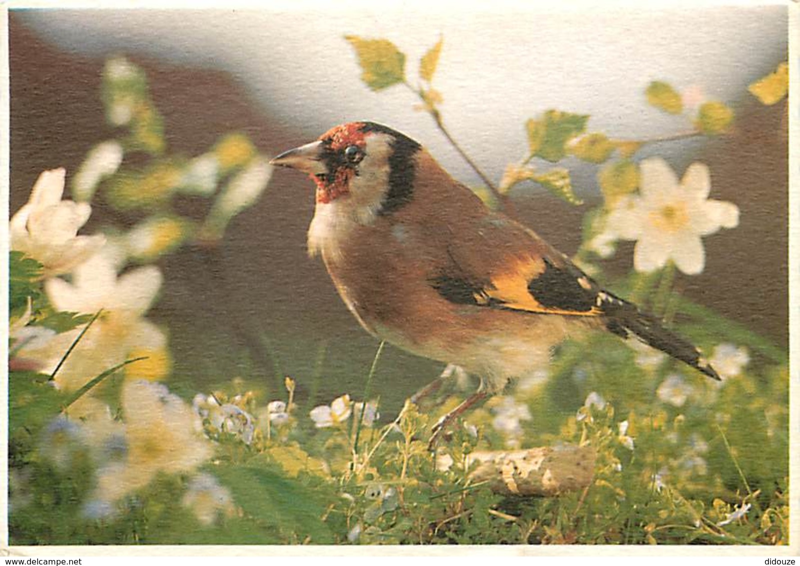 Animaux - Oiseaux - A Définir - Fleurs - Voir Scans Recto-Verso - Birds