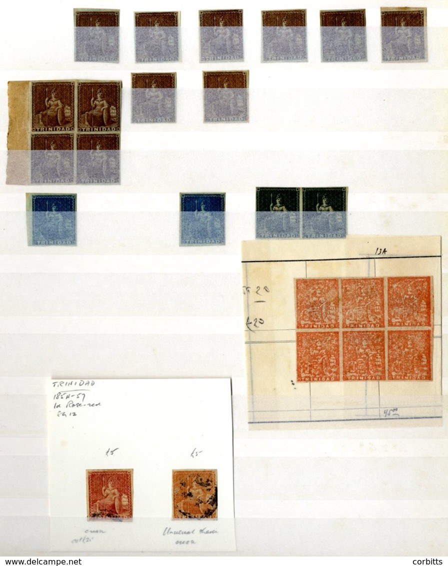 TRINIDAD & TOBAGO Range Incl. Britannias 1851 1d Purple Brown (8) Plus Block Of Four, 1d Blue (2), 1d Grey Pair, 1852/60 - Altri & Non Classificati