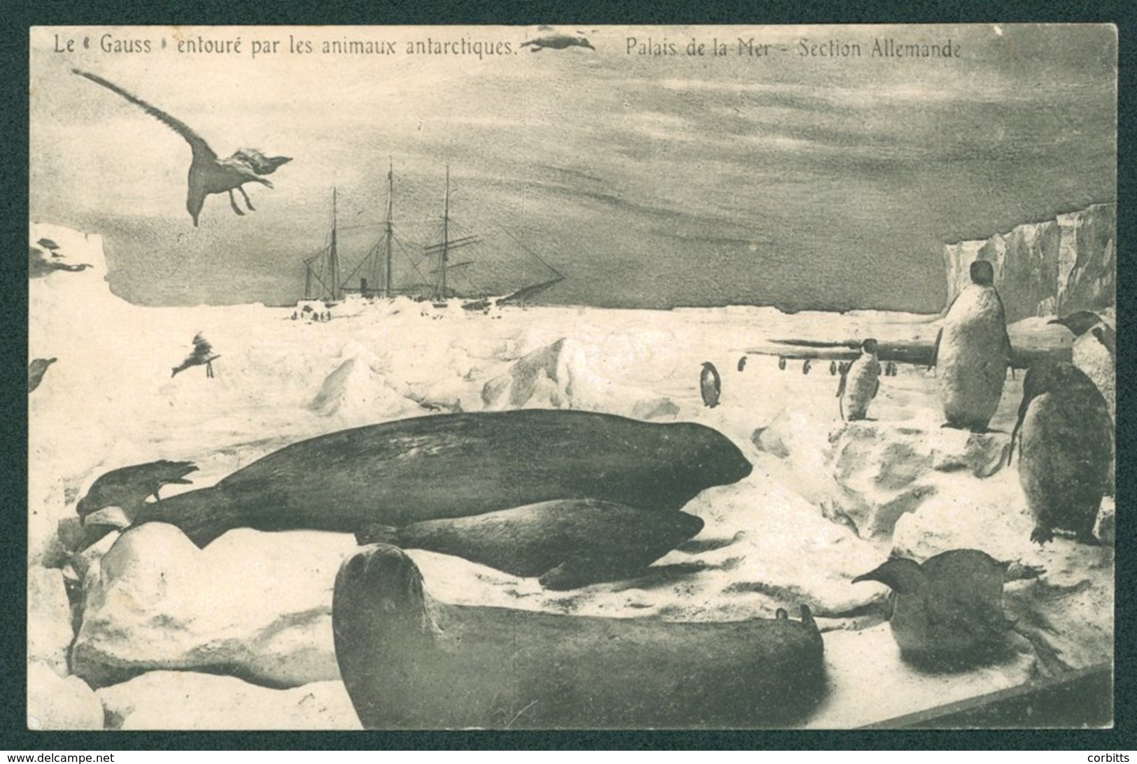 PENGUINS France - 1906 Postcard 'Le 'Gauss' Entouré Par Les Animaux Antarctiques Palais De La Mer - Section Allemande Us - Sonstige & Ohne Zuordnung