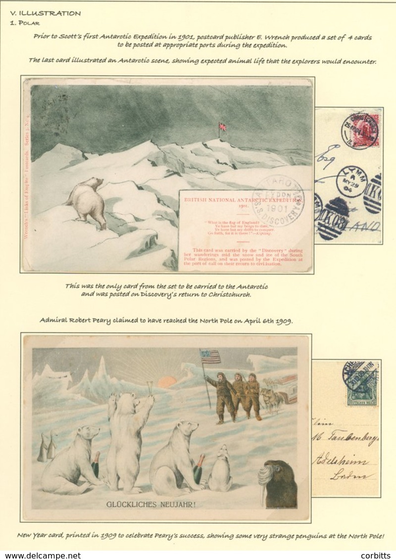 PENGUINS New Zealand - Geographical Errors. Wrench Card Showing A Polar Bear In The Antarctic Looking At A British Flag  - Sonstige & Ohne Zuordnung