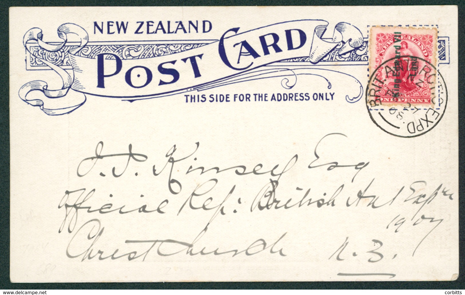 PENGUINS New Zealand - 'Canterbury Times' Postcard Of Emperor Penguins Superb & Very Fresh Used, Addressed To J.J.Kinsey - Autres & Non Classés
