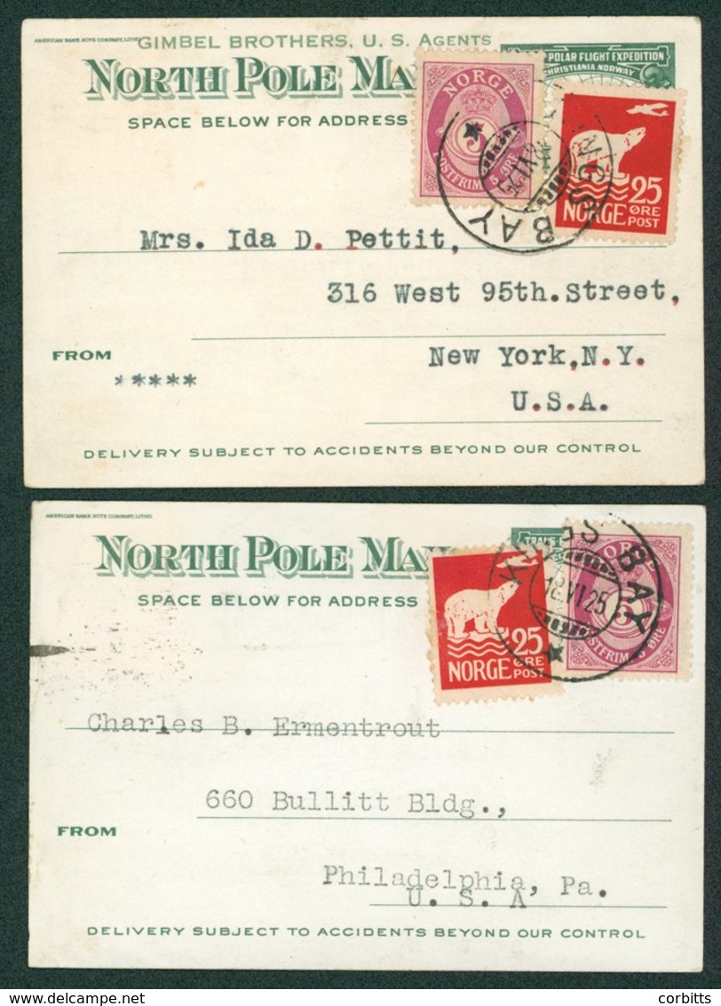 PENGUINS Norway - Two Different Cards Used By The Amundsen-Ellsworth Flight Proposed To Fly Over The North Pole Cancelle - Sonstige & Ohne Zuordnung